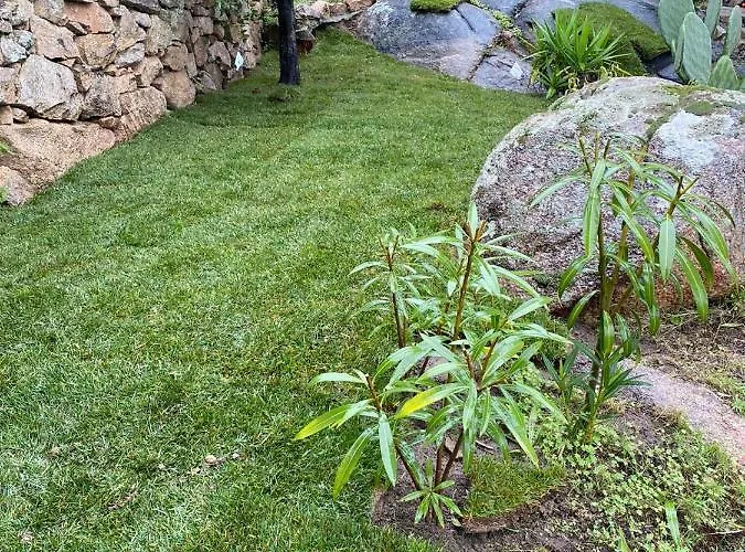 Costa Smeralda Indipendente Vista Mare Vakantiehuis *